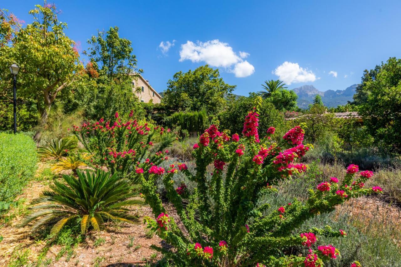 Finca Ca'S Curial - Agroturismo - Adults Only 소예르 외부 사진