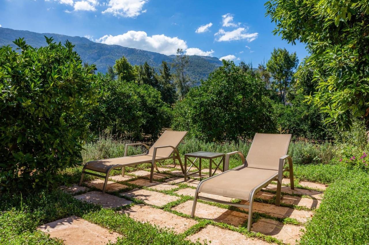 Finca Ca'S Curial - Agroturismo - Adults Only 소예르 외부 사진