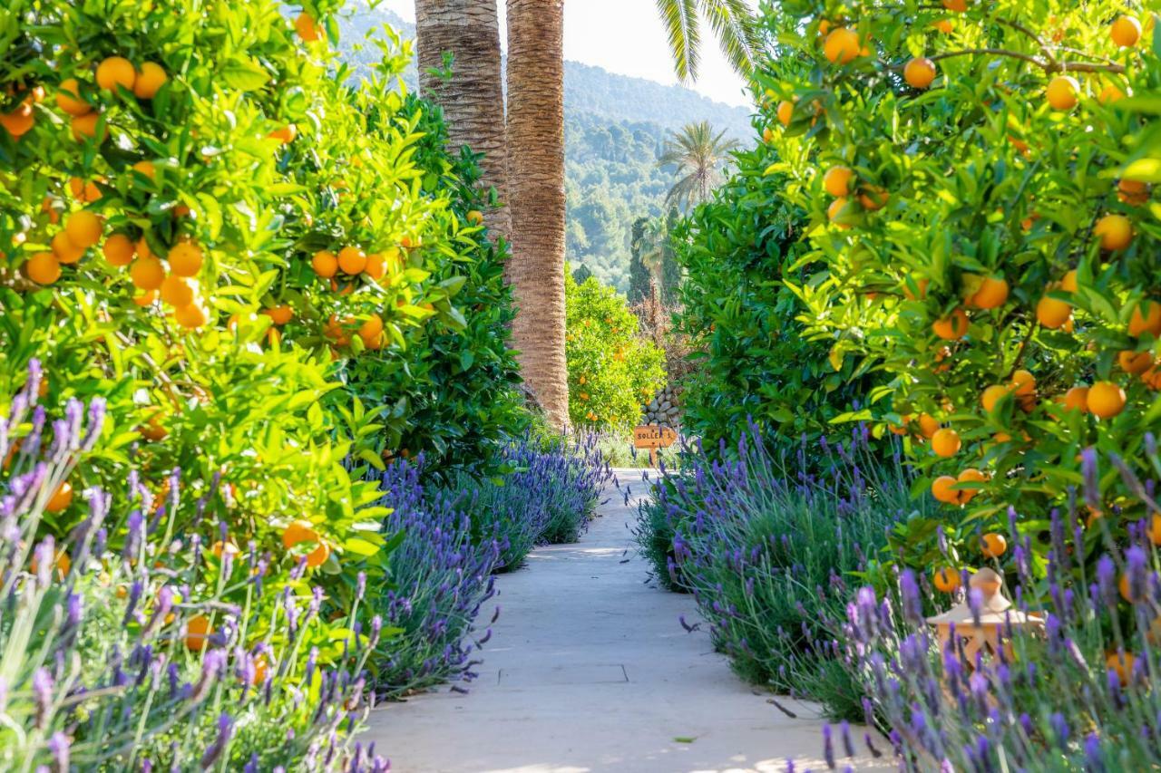 Finca Ca'S Curial - Agroturismo - Adults Only 소예르 외부 사진