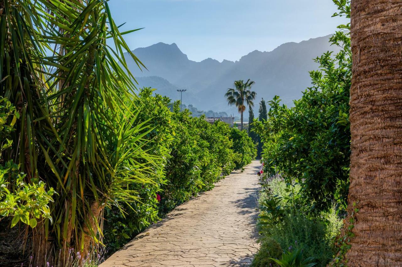 Finca Ca'S Curial - Agroturismo - Adults Only 소예르 외부 사진