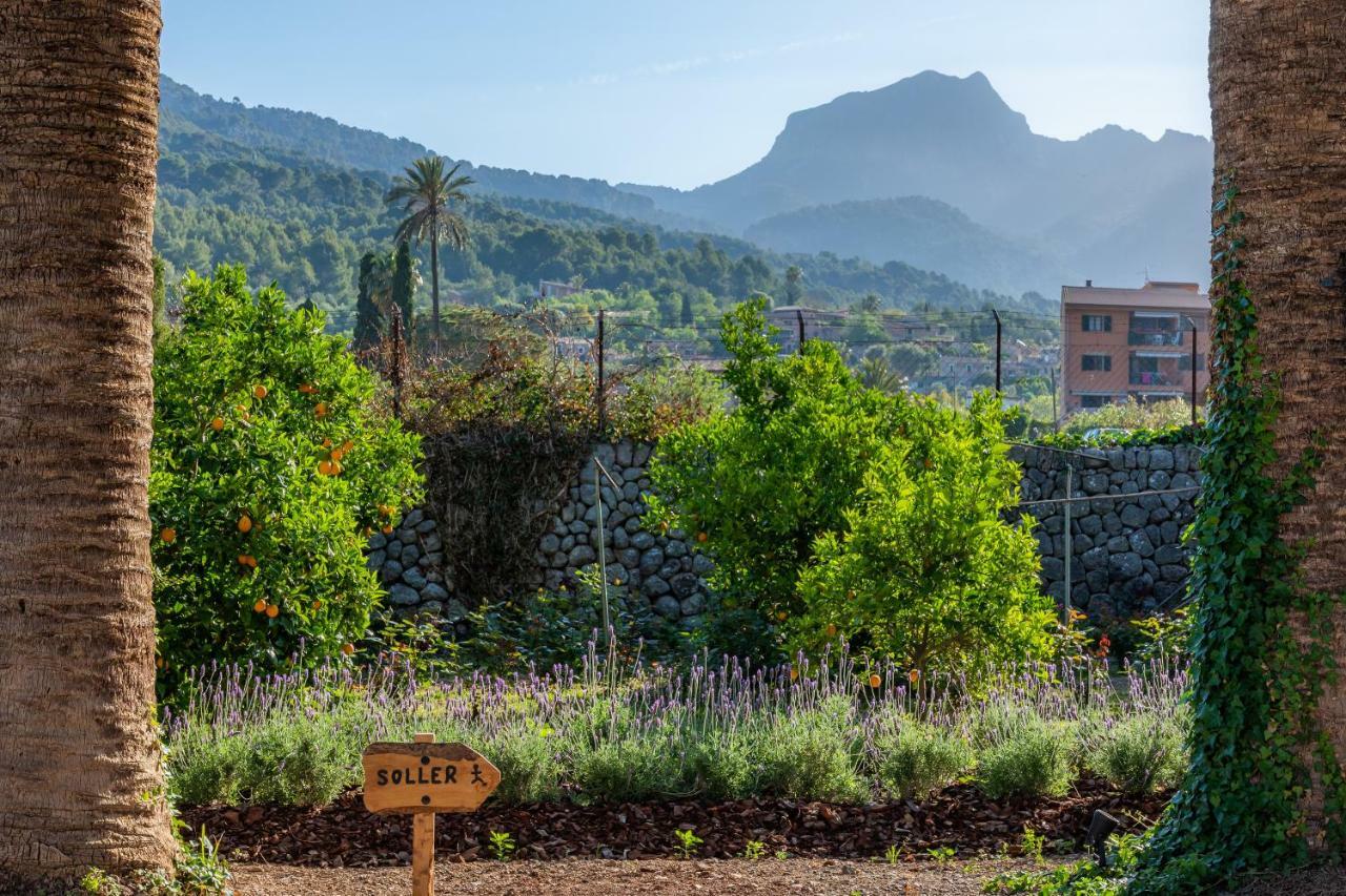 Finca Ca'S Curial - Agroturismo - Adults Only 소예르 외부 사진